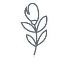 picto articles funeraires